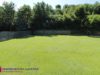 Garten IMG_4399
